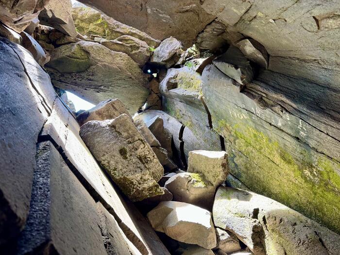 鳥海山　秋田県　山形県　日本百名山　花の百名山