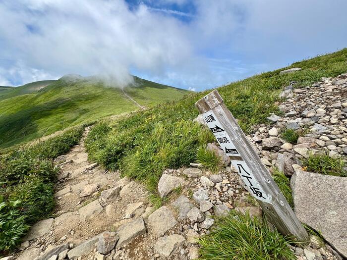鳥海山　秋田県　山形県　日本百名山　花の百名山