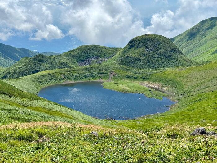鳥海山　秋田県　山形県　日本百名山　花の百名山