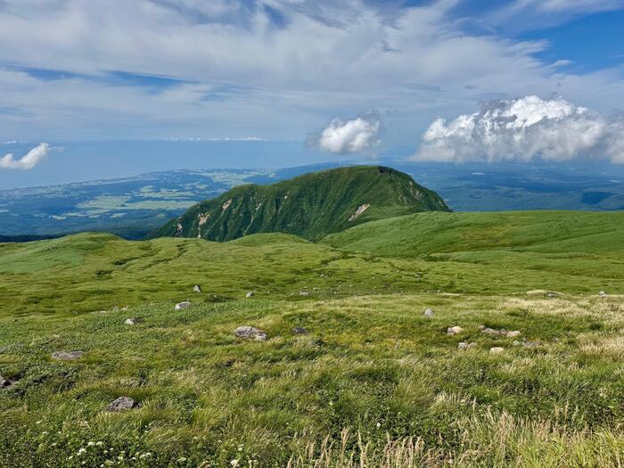鳥海山　秋田県　山形県　日本百名山　花の百名山