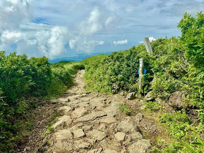 鳥海山　秋田県　山形県　日本百名山　花の百名山