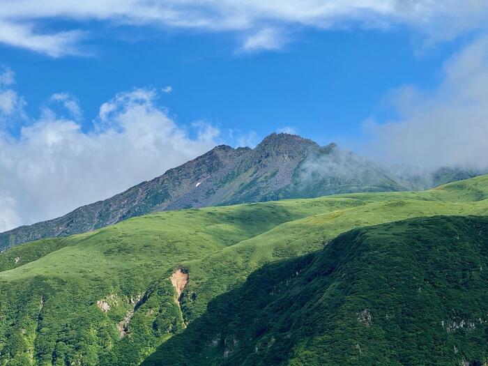 鳥海山　秋田県　山形県　日本百名山　花の百名山