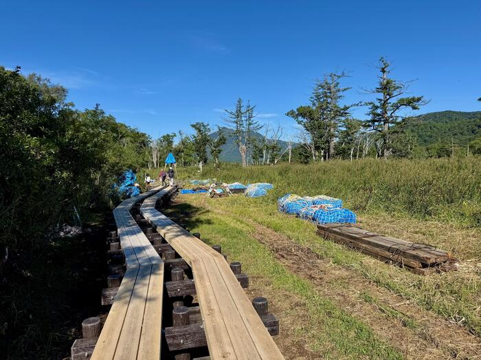 尾瀬　尾瀬ヶ原　尾瀬沼　鳩待峠　山ノ鼻　竜宮　見晴　平滑ノ滝　三条ノ滝　至仏山　燧ヶ岳　桧枝岐小屋