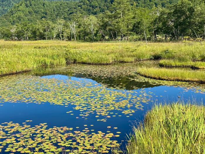 尾瀬　尾瀬ヶ原　尾瀬沼　鳩待峠　山ノ鼻　竜宮　見晴　平滑ノ滝　三条ノ滝　至仏山　燧ヶ岳　桧枝岐小屋
