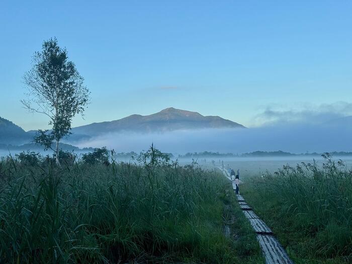 尾瀬　尾瀬ヶ原　尾瀬沼　鳩待峠　山ノ鼻　竜宮　見晴　平滑ノ滝　三条ノ滝　至仏山　燧ヶ岳　桧枝岐小屋