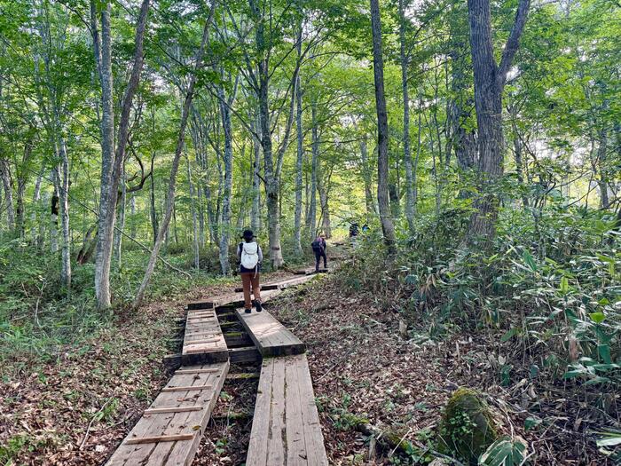 尾瀬　尾瀬ヶ原　尾瀬沼　鳩待峠　山ノ鼻　竜宮　見晴　平滑ノ滝　三条ノ滝　至仏山　燧ヶ岳　桧枝岐小屋