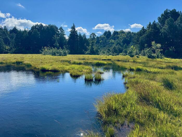 尾瀬　尾瀬ヶ原　尾瀬沼　鳩待峠　山ノ鼻　竜宮　見晴　平滑ノ滝　三条ノ滝　至仏山　燧ヶ岳　桧枝岐小屋