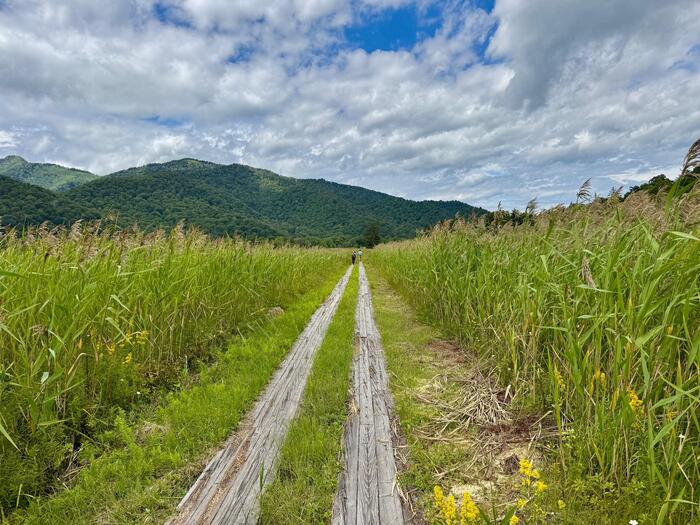 尾瀬　尾瀬ヶ原　尾瀬沼　鳩待峠　山ノ鼻　竜宮　見晴　平滑ノ滝　三条ノ滝　至仏山　燧ヶ岳　桧枝岐小屋