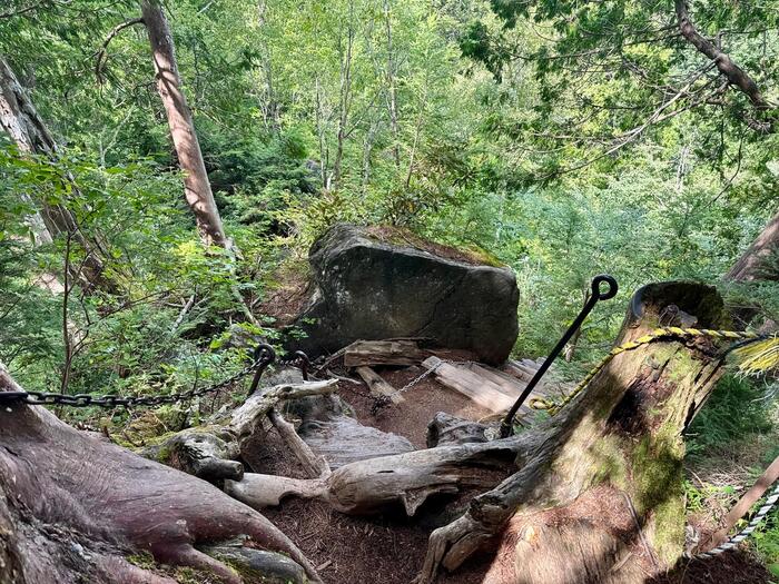 尾瀬　尾瀬ヶ原　尾瀬沼　鳩待峠　山ノ鼻　竜宮　見晴　平滑ノ滝　三条ノ滝　至仏山　燧ヶ岳　桧枝岐小屋