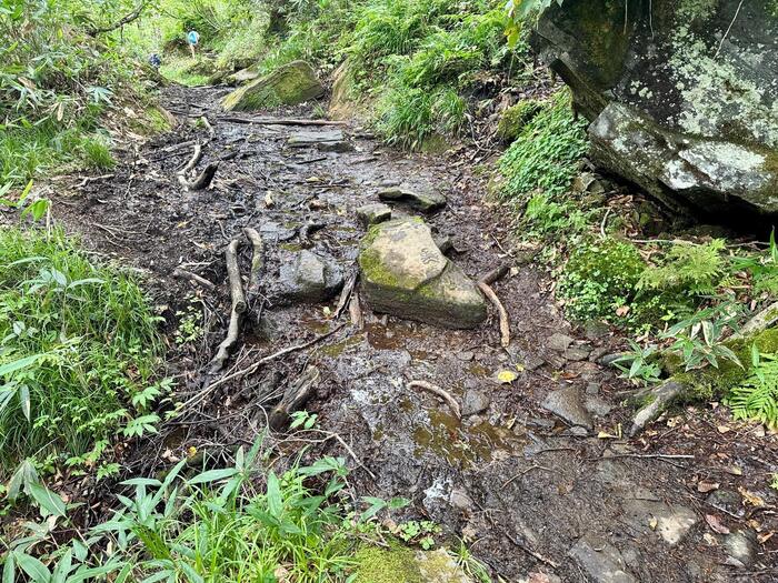 尾瀬　尾瀬ヶ原　尾瀬沼　鳩待峠　山ノ鼻　竜宮　見晴　平滑ノ滝　三条ノ滝　至仏山　燧ヶ岳　桧枝岐小屋