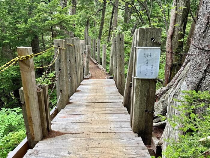 尾瀬　尾瀬ヶ原　尾瀬沼　鳩待峠　山ノ鼻　竜宮　見晴　平滑ノ滝　三条ノ滝　至仏山　燧ヶ岳　桧枝岐小屋