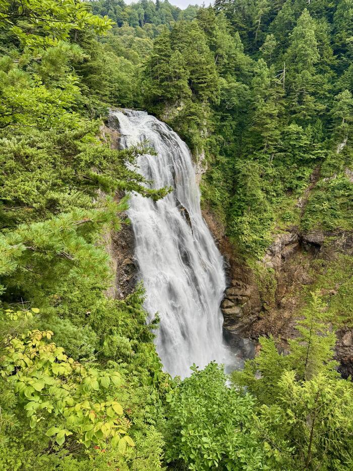 尾瀬　尾瀬ヶ原　尾瀬沼　鳩待峠　山ノ鼻　竜宮　見晴　平滑ノ滝　三条ノ滝　至仏山　燧ヶ岳　桧枝岐小屋