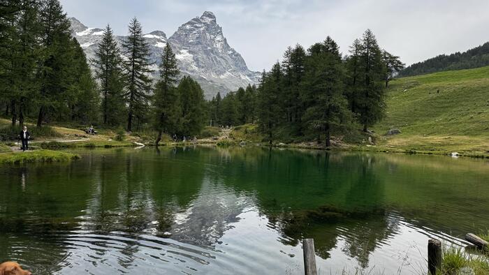思っていたよりこぢんまりとした湖ですが、散策しやすいサイズ感です