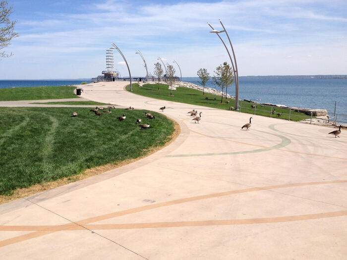 ブラント・ストリートからスペンサー・スミス公園に入った景色