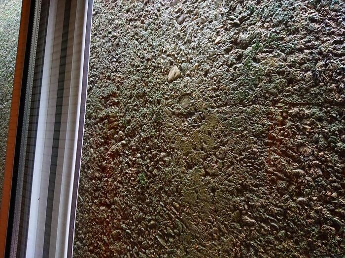 シュロイゼ（閘門/こうもん）で水位調整を待つ間、窓から見えるのはコンクリートの壁だけ