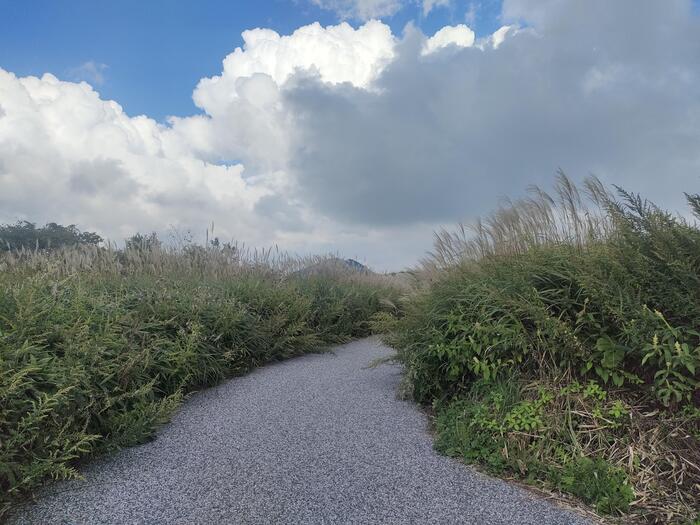 四国カルトの遊歩道散策