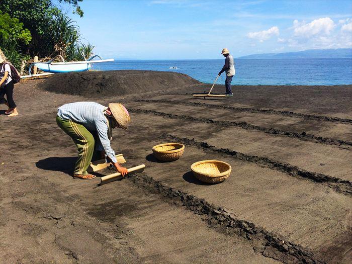 クサンバの塩収穫