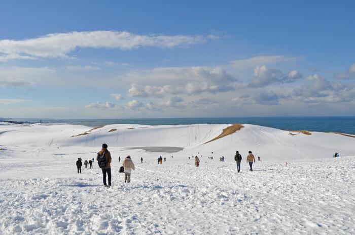 冬の鳥取砂丘