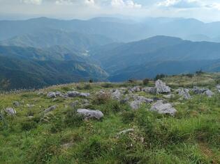 ブログイメージ