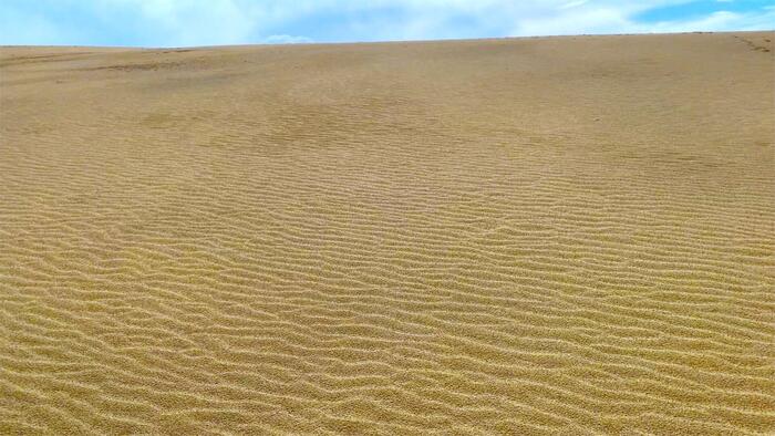 初秋の鳥取砂丘