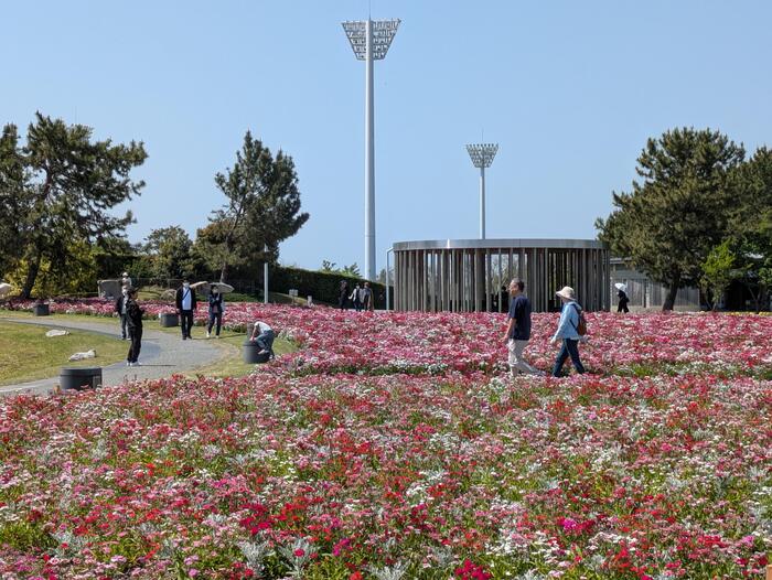 きらら博記念公園　フラワーガーデン.jpg