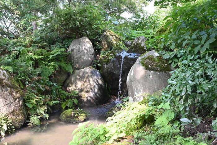 主庭園にある西の滝