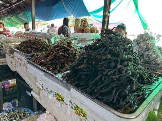 手前がタランチュラ：蜘蛛