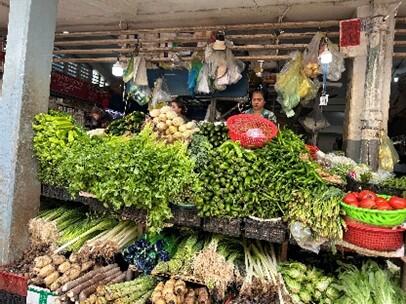 野菜エリア　たくさん積まれた現地野菜