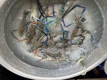 魚介コーナーでは、青いエビ