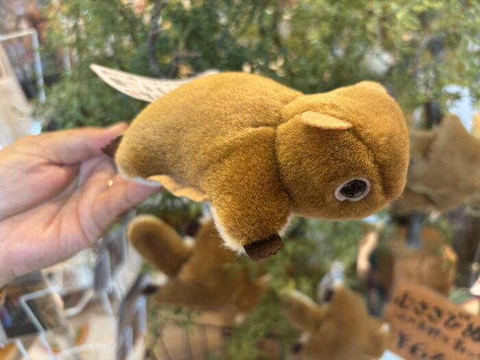 くろまろの郷で販売しているムササビのぬいぐるみ