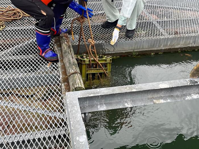 滝畑ダムの湖底で熟成させた天野酒