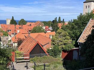 ブログイメージ