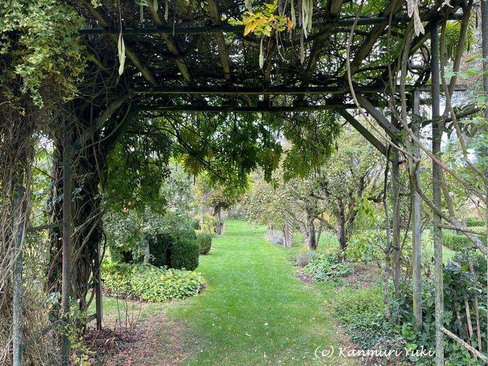 ヴォーセル僧院の果樹園 