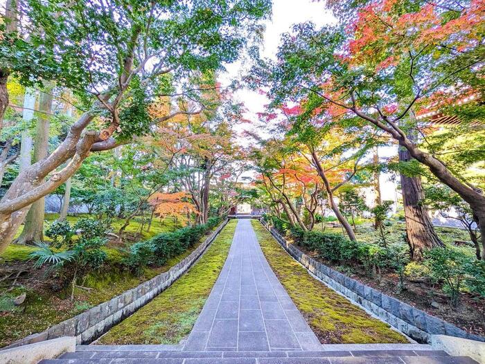 紅葉が見事な天嶽院の参道