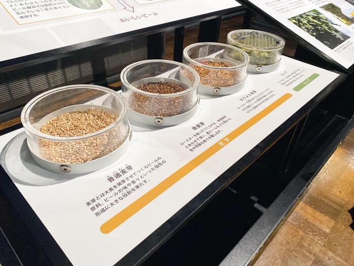 さまざまなホップ