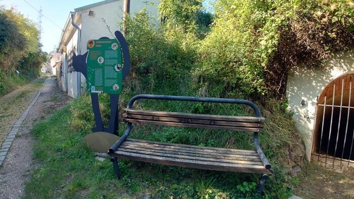 黒猫の看板とベンチ。右には地下蔵への入り口がある