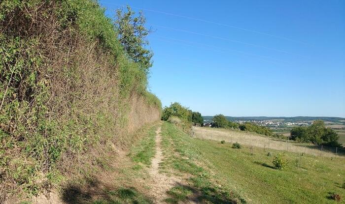 「レス」の土壌で片側だけ削られた道