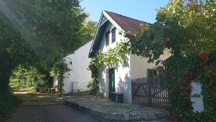 ワイン蔵にはブドウのツタが絡んで、ワイン産地らしい風情がある