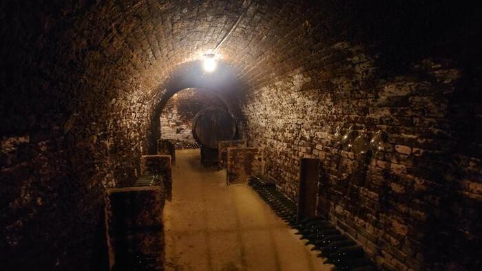 地下の酒蔵には、美味しいワインを作る酒蔵の特徴である、黒カビがぎっしりついて、これが黒猫に見えるときがある