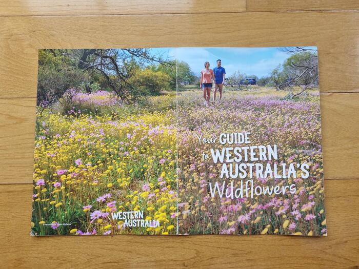 ワイルドフラワーのパンフレット