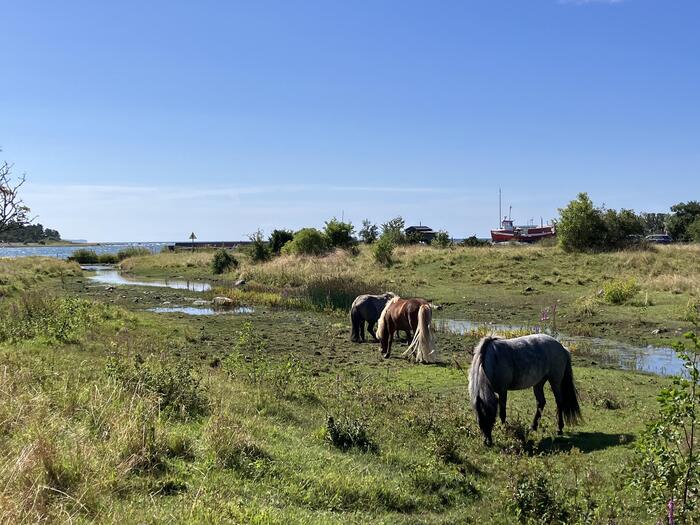 島全体にサイクリングロード