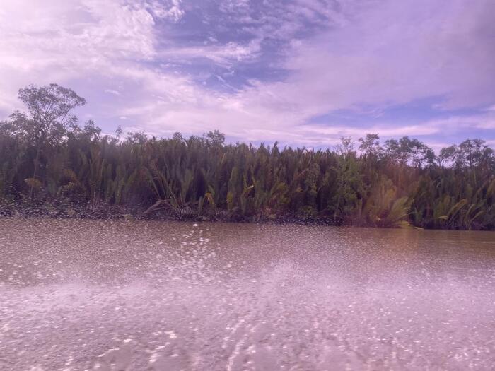 乗船中か見える景色