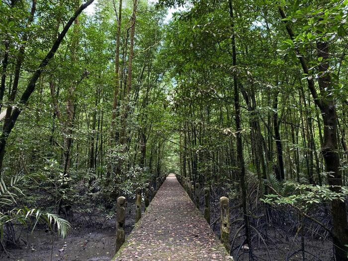 タラカン島の自然