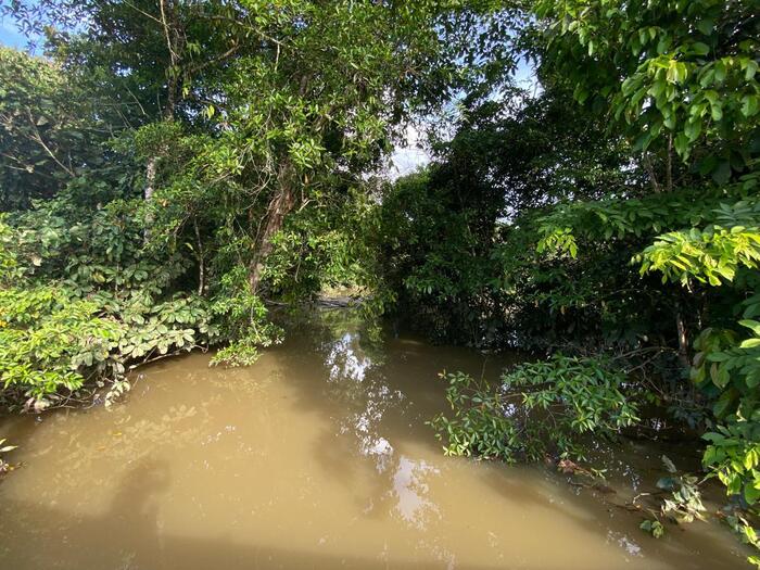 タンジュンセロル ジャングルのような景色