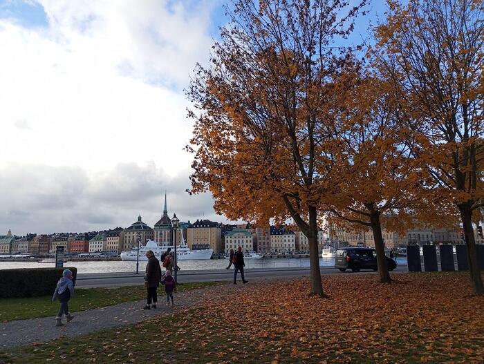 紅葉の先に見える旧市街ガムラスタンと王宮