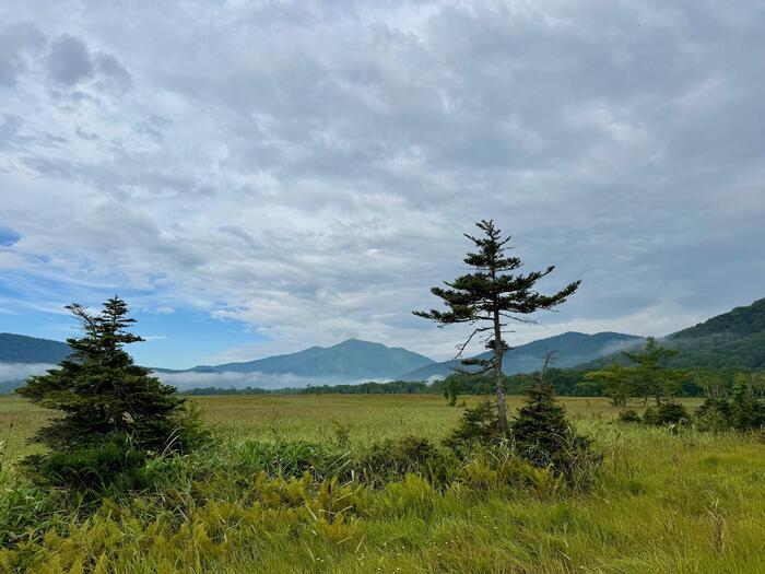 尾瀬　尾瀬ヶ原　尾瀬沼　鳩待峠　山ノ鼻　竜宮　見晴　平滑ノ滝　三条ノ滝　至仏山　燧ヶ岳　桧枝岐小屋