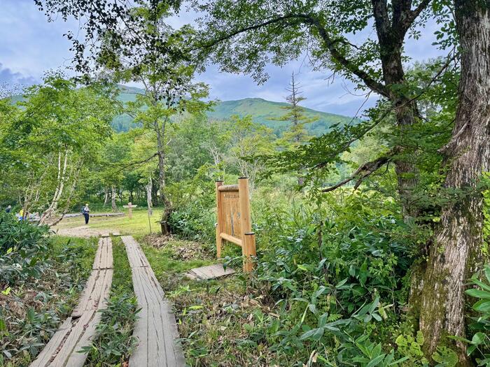 尾瀬　尾瀬ヶ原　尾瀬沼　鳩待峠　山ノ鼻　竜宮　見晴　平滑ノ滝　三条ノ滝　至仏山　燧ヶ岳　桧枝岐小屋