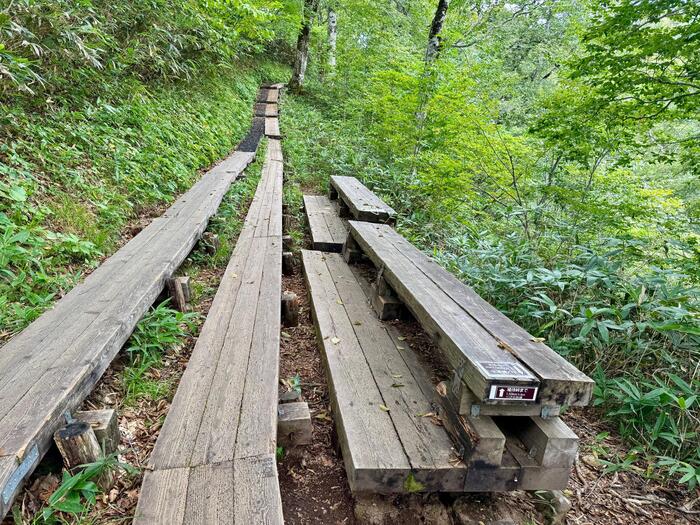 尾瀬　尾瀬ヶ原　尾瀬沼　鳩待峠　山ノ鼻　竜宮　見晴　平滑ノ滝　三条ノ滝　至仏山　燧ヶ岳　桧枝岐小屋