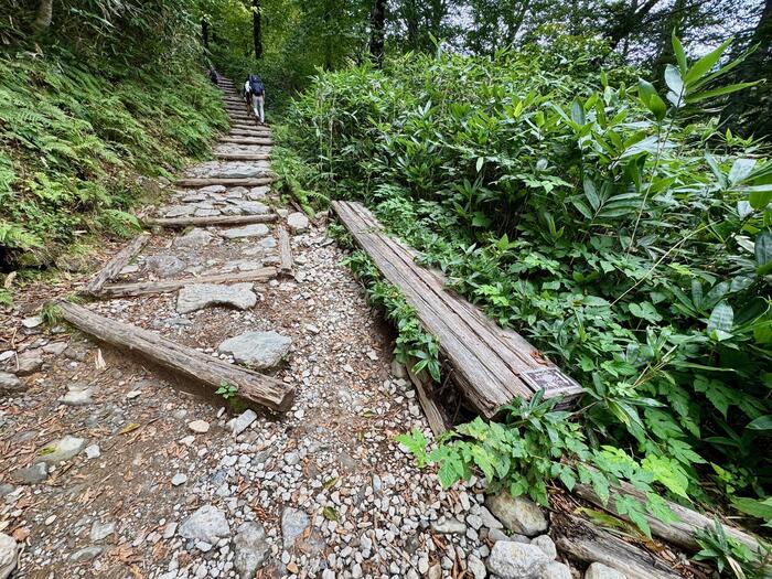 尾瀬　尾瀬ヶ原　尾瀬沼　鳩待峠　山ノ鼻　竜宮　見晴　平滑ノ滝　三条ノ滝　至仏山　燧ヶ岳　桧枝岐小屋