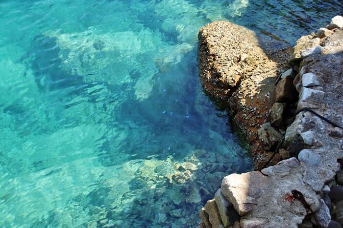 橋の上から海を見ても、海の中で泳いでいる魚がしっかり見え、底まで透けているかのような驚きの透明度